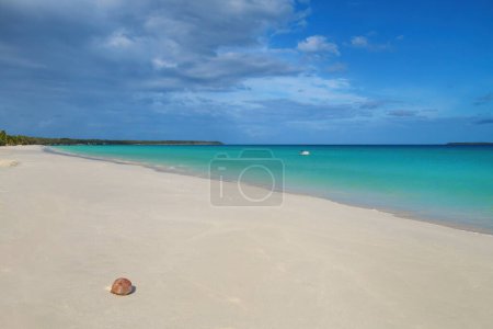 Plage de Fayaoue sur la côte de la lagune d'Ouvea, îles Mouli et Ouvea, îles Loyauté, Nouvelle-Calédonie. La lagune a été inscrite au patrimoine mondial de l'Unesco en 2008
.