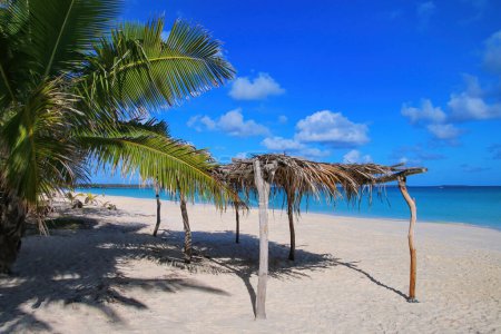 Foto de Cabaña de paja en la playa de Fayaoue en la costa de la laguna de Ouvea, Islas Mouli y Ouvea, Islas de Lealtad, Nueva Caledonia
. - Imagen libre de derechos
