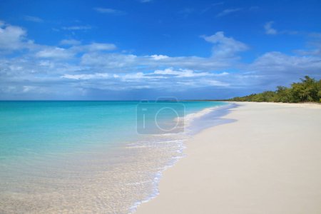 Téléchargez les photos : Plage de Fayaoue sur la côte de la lagune d'Ouvea, îles Mouli et Ouvea, îles Loyauté, Nouvelle-Calédonie. La lagune a été inscrite au patrimoine mondial de l'Unesco en 2008
. - en image libre de droit