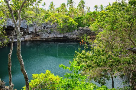 Foto de Tortugas agujero en el norte de la isla de Ouvea, Islas de Lealtad, Nueva Caledonia. Este agujero está conectado a tierra firme al mar
. - Imagen libre de derechos