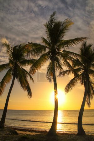 Foto de Puesta de sol sobre la laguna de Ouvea en la isla de Ouvea, Islas de Lealtad, Nueva Caledonia. La laguna fue declarada Patrimonio de la Humanidad por la Unesco en 2008
. - Imagen libre de derechos