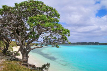 Lekiny Bay sur l'île Ouvea, îles Loyauté, Nouvelle-Calédonie
.