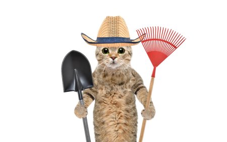 Foto de Retrato de un gato en un sombrero de paja con una herramienta de jardín en sus manos aislado sobre un fondo blanco - Imagen libre de derechos