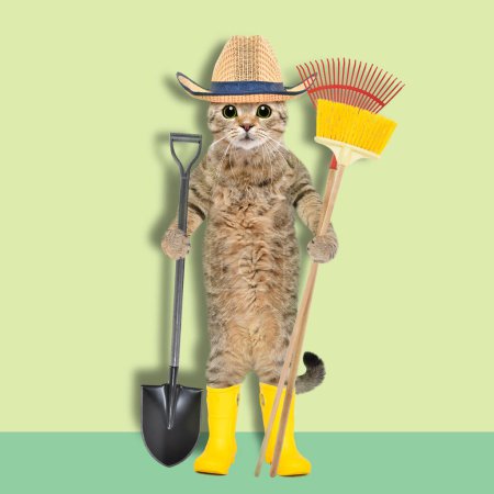 Foto de Gato con sombrero de paja y botas de goma de pie con una herramienta de jardín en sus manos - Imagen libre de derechos