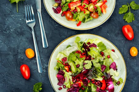Photo for Healthy salad with greens, pepper, radicchio and cucumber, decorated with pomegranate. - Royalty Free Image
