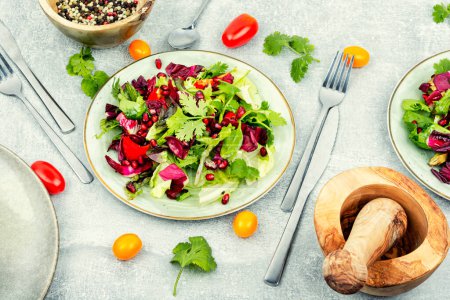 Photo for Summer salad with greens, pepper, red lettuce and cucumber, decorated with pomegranate. - Royalty Free Image