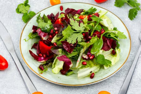 Foto de Ensalada de vitaminas con verduras, pimiento, lechuga roja y pepino, decorada con granada. - Imagen libre de derechos