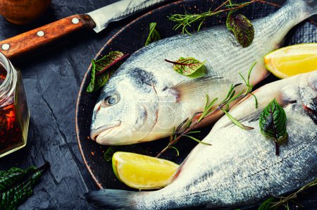 Photo for Fresh raw dorado fish for cooking on a plate. Seafood - Royalty Free Image