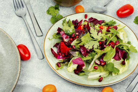 Téléchargez les photos : Salade vitaminée aux légumes verts, poivre, laitue rouge et concombre, décorée de grenade. - en image libre de droit