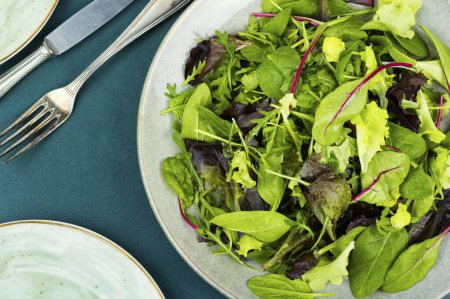 Foto de Fresh healthy green salad mix with salad lettuce, chicory, arugula. Green food. - Imagen libre de derechos