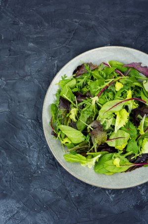 Foto de Fresh summer green salad mix with salad lettuce, chicory, arugula. Green food. - Imagen libre de derechos