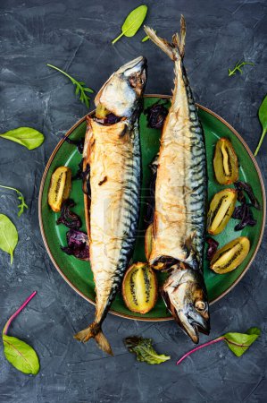 Photo for Appetizing prepared mackerel, scomber fish baked with kiwi pieces. - Royalty Free Image
