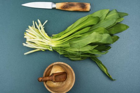 Photo for Fresh wild garlic on the table, wild garlic dishes. Homeopathic herbs. Flat lay - Royalty Free Image