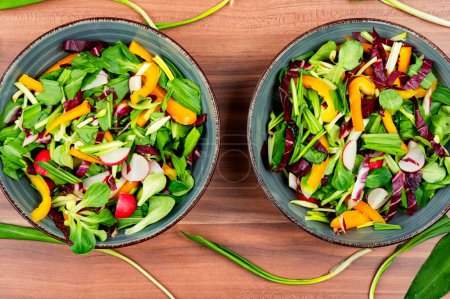 Téléchargez les photos : Salade saine avec légumes et poireau d'ours ou ail sauvage. Vue du dessus. - en image libre de droit