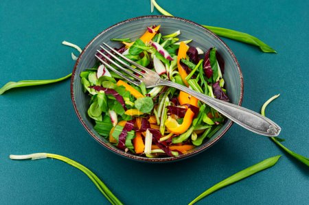 Foto de Ensalada de primavera fresca con verduras, rábano y ramson en el plato. Concepto de comida vegana saludable. - Imagen libre de derechos