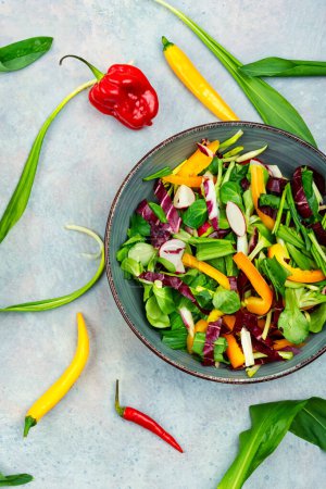 Photo for Vitamin spring green salad with vegetables and bear leek or wild garlic. - Royalty Free Image