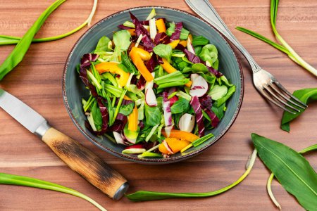 Foto de Ensalada verde con verduras y puerro de oso o ajo silvestre. Alimento saludable de plantas de primavera - Imagen libre de derechos