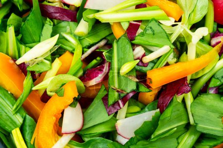 Photo for Green salad with vegetables and green bear leek or wild garlic leaves . Close up - Royalty Free Image