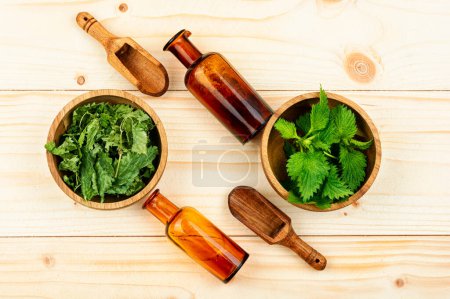 Photo for Fresh and dried nettle leaves on the table. Medicinal plant, stinging nettles on a wooden table - Royalty Free Image