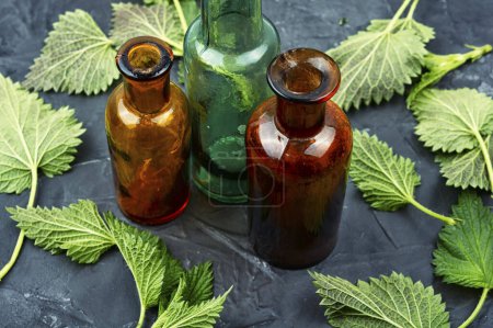 Photo for Fresh nettle leaves and pharmacy bottle, homeopathic herbs. - Royalty Free Image