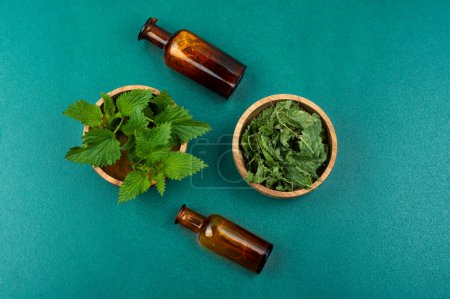 Photo for Raw and dried nettle leaves and pharmacy bottle on the table. Urtica, medicinal plant - Royalty Free Image
