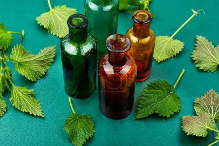 Photo for Fresh nettle leaves and pharmacy bottle on the table. Medicinal plant - Royalty Free Image