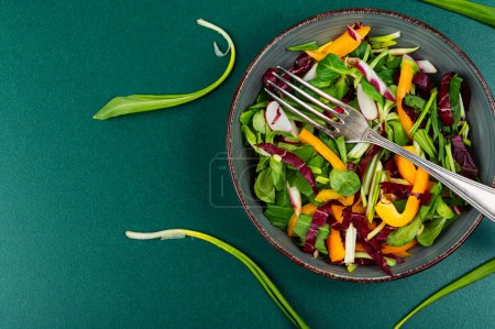 Photo for Vitamin spring green salad with vegetables and bear leek or wild garlic. Space for text - Royalty Free Image