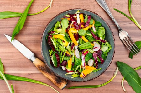 Photo for Healthy salad bowl with vegetables and bear leek or wild garlic on a rustic wooden board. - Royalty Free Image