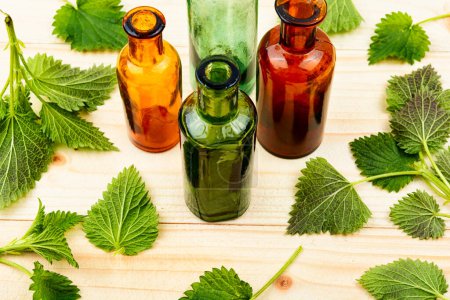 Photo for Fresh nettle leaves and pharmacy bottle, homeopathic herbs. Herbal medicine - Royalty Free Image