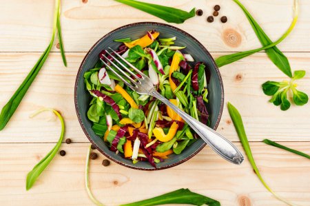 Photo for Healthy salad with vegetables and leaves of wild garlic on a rustic wooden board. - Royalty Free Image