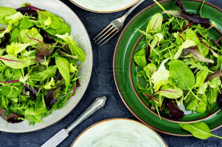 Foto de La ensalada sana de la verdura primaveral en el plato. Las hojas mezclan ensalada. Vista superior - Imagen libre de derechos