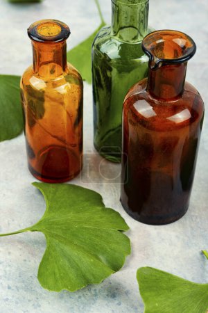 Téléchargez les photos : Feuilles et bouteille de ginkgo biloba en médecine traditionnelle chinoise. Médecine végétale - en image libre de droit