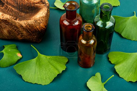Foto de Ginkgo biloba deja en la medicina tradicional china. Medicina herbal - Imagen libre de derechos