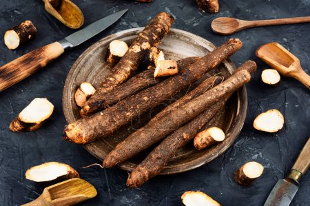 Photo for Salsify, unpeeled root, medicine, homeopathic herbs - Royalty Free Image
