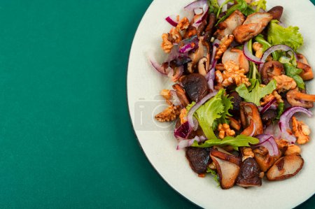 Téléchargez les photos : Salade diététique aux champignons des forêts grillés, oignons, verts et noix. Vue du dessus, espace de copie. - en image libre de droit