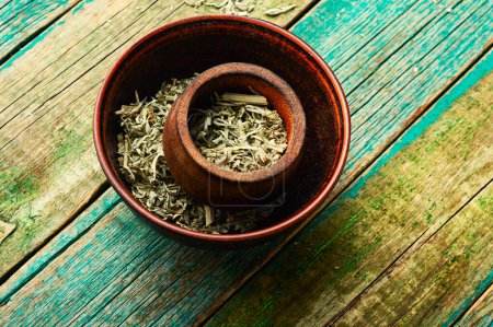 Foto de Ajenjo seco en un tazón, hierbas homeopáticas en la medicina herbal. - Imagen libre de derechos