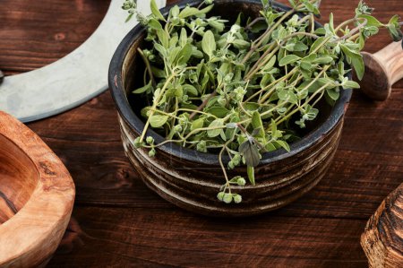 Téléchargez les photos : Marjolaine, épice avec une odeur douce et une plante médicinale. Feuilles de marjolaine - en image libre de droit