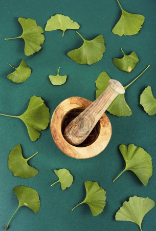 Téléchargez les photos : Feuilles de ginkgo biloba en médecine traditionnelle chinoise. Médecine végétale - en image libre de droit