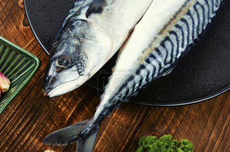 Photo for Fresh mackerels fish for cooking on old rustic wooden table. Raw fish, cooking fish concept. - Royalty Free Image