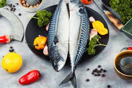 Photo for Fresh mackerels and ingredients on light gray table. Preparing mackerel fish to cook. - Royalty Free Image