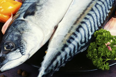 Photo for Raw mackerels or scomber and ingredients for cooking. Raw herring fish. Close up. - Royalty Free Image