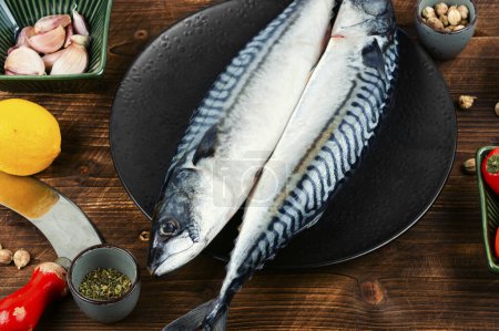 Two fresh mackerels or scomber and ingredients for cooking. Raw fish on old rustic wooden table.