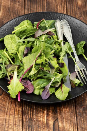 Photo for Fresh salad of raw spring greens and herbs on a plate. Keto or paleo diet. - Royalty Free Image