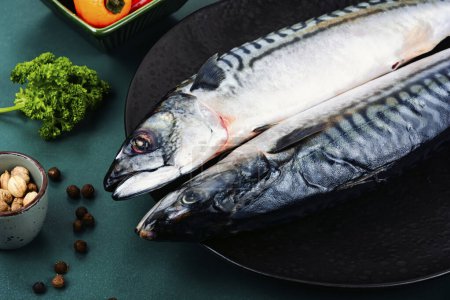 Rohe, frische Makrelen oder Scomber und Zutaten zum Kochen. Roher Fisch, Meeresfrüchte Konzept.