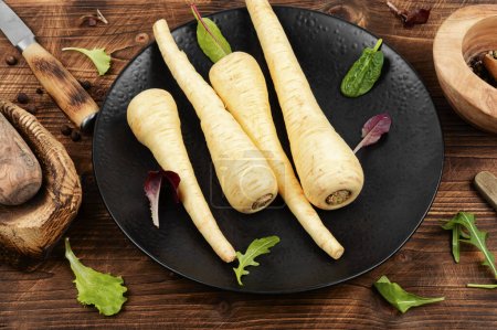 Photo for Raw parsnip roots or white root on the kitchen table. Root vegetables on a vintage wooden background. - Royalty Free Image