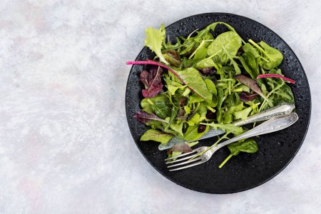 Photo for Fresh salad of raw spring greens and herbs served on a black plate. Space for text. - Royalty Free Image