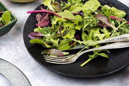 Téléchargez les photos : Salade vitaminée verte à base de feuilles vertes mélangées. Alimentation saine concept alimentaire. - en image libre de droit