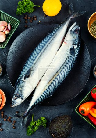 Photo for Two fresh mackerels or scomber and ingredients for cooking. Raw fish. Flat lay. - Royalty Free Image