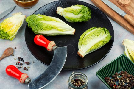 Fresh green Romaine lettuce hearts. Healthy eating vegetable concept