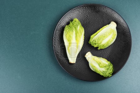 Green Romaine lettuce hearts. Fresh Romaine or cos lettuce. Copy space.